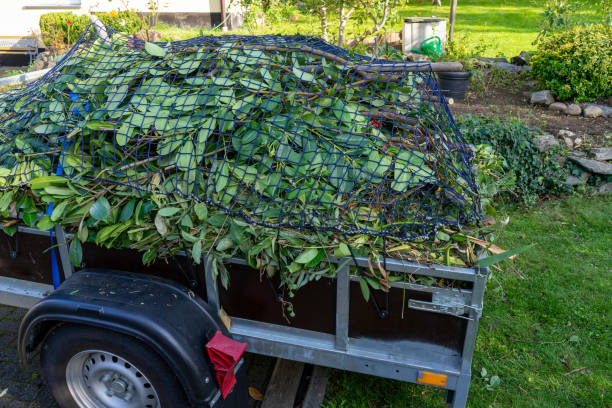 Same-Day Junk Removal Services in North Bend, OH